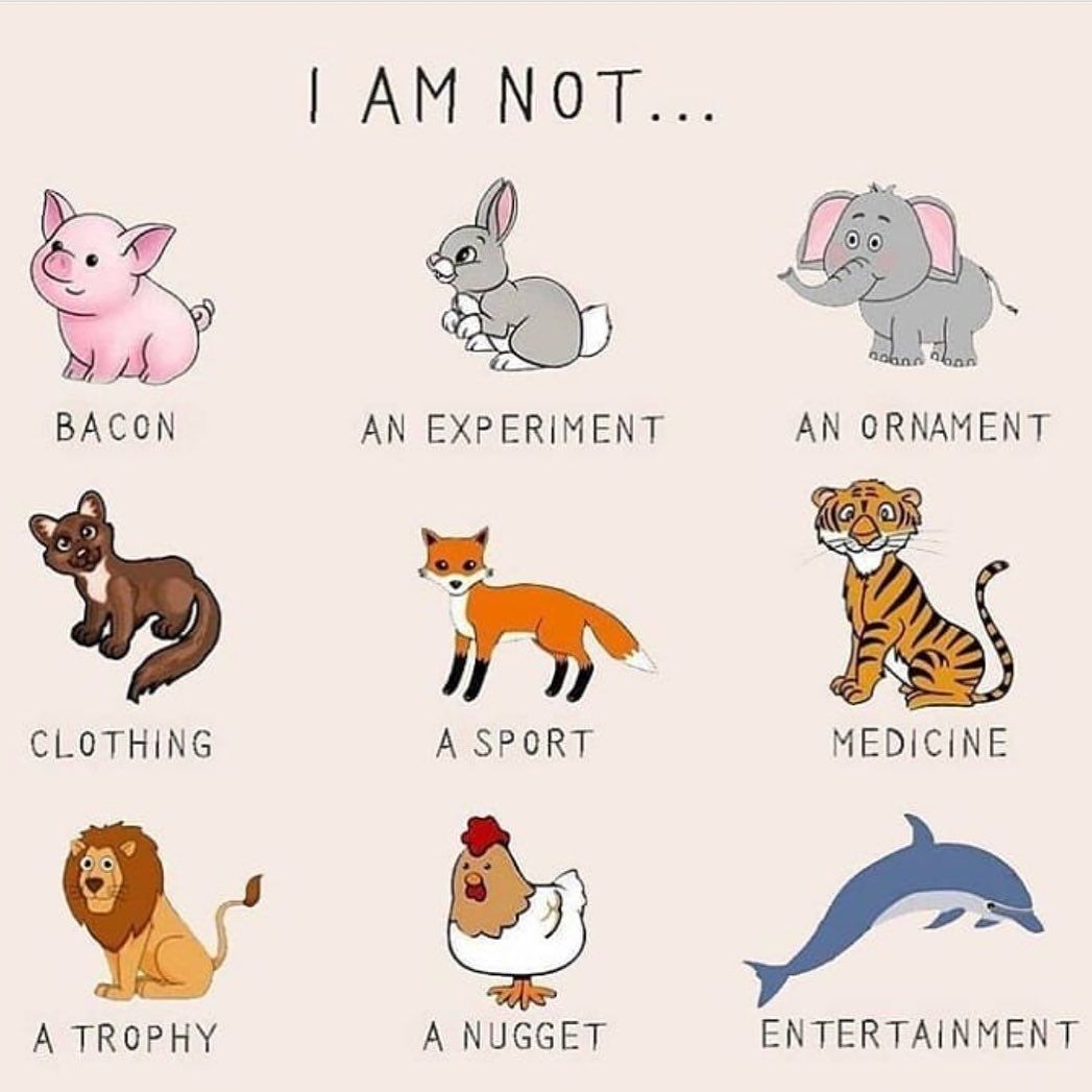animal cruelty